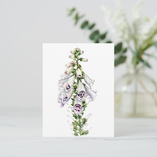 Carte Postale Fleur Foxglove (Debout devant)
