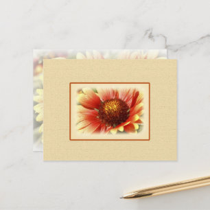Carte Postale Fleur Gaillardia Jaune Orange Jaune Dentelée