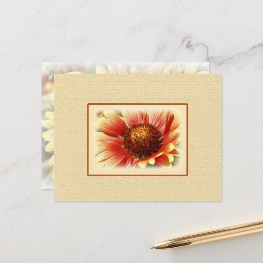Carte Postale Fleur Gaillardia Jaune Orange Jaune Dentelée (Devant/Arrière en situation)
