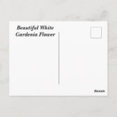Carte Postale Fleur Gardenia blanche (Dos)