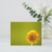Carte Postale Fleur Gerbera Jaune Daisy (Debout devant)