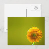 Carte Postale Fleur Gerbera Jaune Daisy (Devant / Derrière)