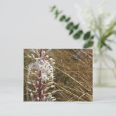 Carte postale Fleur grecque (Debout devant)
