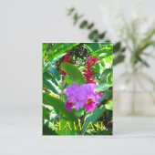 Carte Postale Fleur hawaïenne violette tropicale (Debout devant)