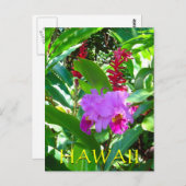 Carte Postale Fleur hawaïenne violette tropicale (Devant / Derrière)