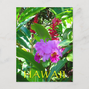 Carte Postale Fleur hawaïenne violette tropicale