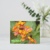 Carte Postale Fleur Hawaii (Debout devant)