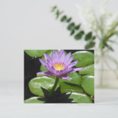 Carte Postale Fleur Hawaii Lotus (Debout devant)
