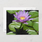 Carte Postale Fleur Hawaii Lotus (Devant / Derrière)