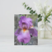 Carte Postale Fleur Iris Lavande Douce (Debout devant)