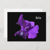 Carte Postale Fleur Iris Violet (Devant / Derrière)