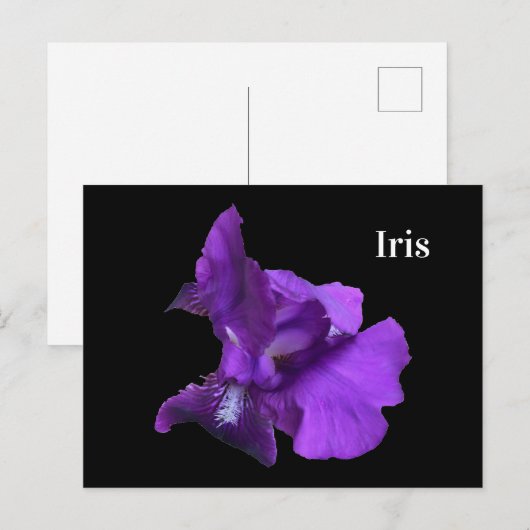 Carte Postale Fleur Iris Violet (Devant / Derrière)