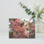 Carte Postale Fleur japonaise 2Cherry (Debout devant)