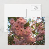 Carte Postale Fleur japonaise 2Cherry (Devant / Derrière)