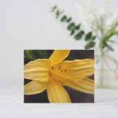 Carte Postale fleur jaune (Debout devant)