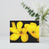 Carte postale Fleur Jaune (Debout devant)