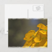 Carte postale Fleur Jaune (Devant / Derrière)