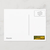 Carte postale Fleur Jaune (Dos)