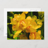 Carte Postale Fleur Jaune (Devant / Derrière)