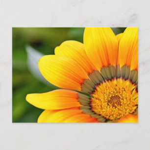 Carte postale Fleur Jaune