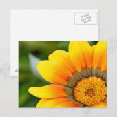 Carte postale Fleur Jaune (Devant / Derrière)