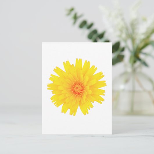 Carte Postale Fleur jaune (Debout devant)
