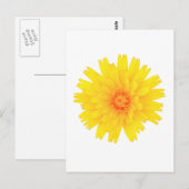 Carte Postale Fleur jaune (Devant / Derrière)