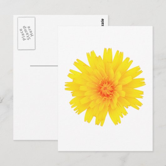 Carte Postale Fleur jaune (Devant / Derrière)