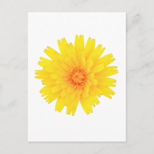 Carte Postale Fleur jaune