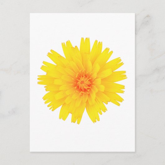 Carte Postale Fleur jaune (Devant)