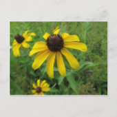 Carte Postale Fleur jaune (Devant)