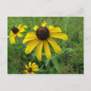 Carte Postale Fleur jaune