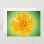 Carte Postale Fleur jaune (Devant / Derrière)