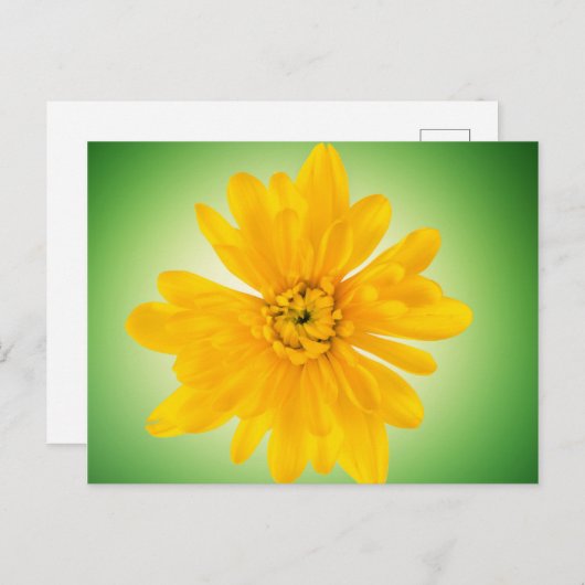 Carte Postale Fleur jaune (Devant / Derrière)
