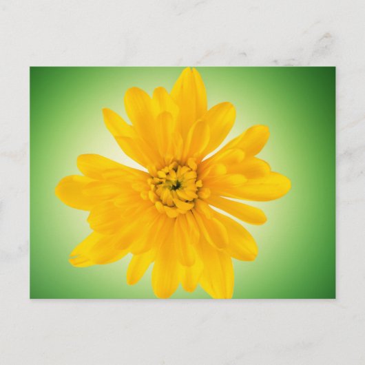Carte Postale Fleur jaune (Devant)