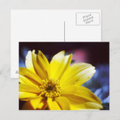 Carte Postale Fleur jaune (Devant / Derrière)