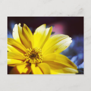 Carte Postale Fleur jaune