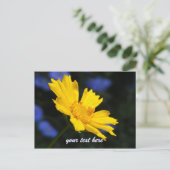Carte postale Fleur Jaune (Debout devant)