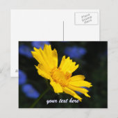 Carte postale Fleur Jaune (Devant / Derrière)