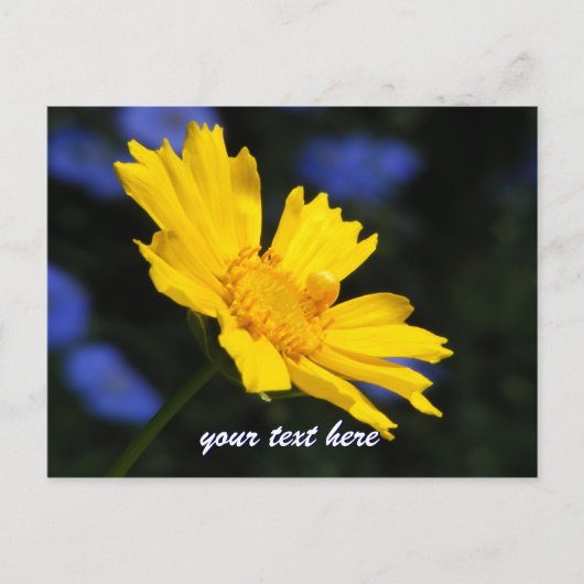 Carte postale Fleur Jaune (Devant)