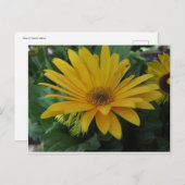 Carte Postale Fleur jaune (Devant / Derrière)
