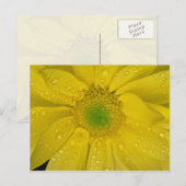 Carte Postale Fleur jaune (Devant / Derrière)