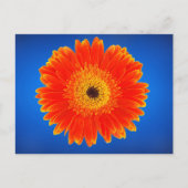 Carte Postale Fleur jaune (Devant)