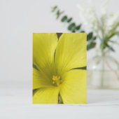 Carte postale Fleur Jaune (Debout devant)