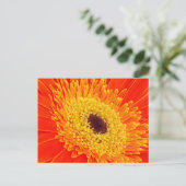 Carte Postale Fleur jaune (Debout devant)