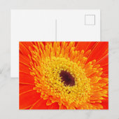 Carte Postale Fleur jaune (Devant / Derrière)