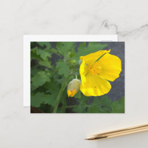 Carte postale Fleur Jaune