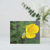 Carte postale Fleur Jaune (Debout devant)