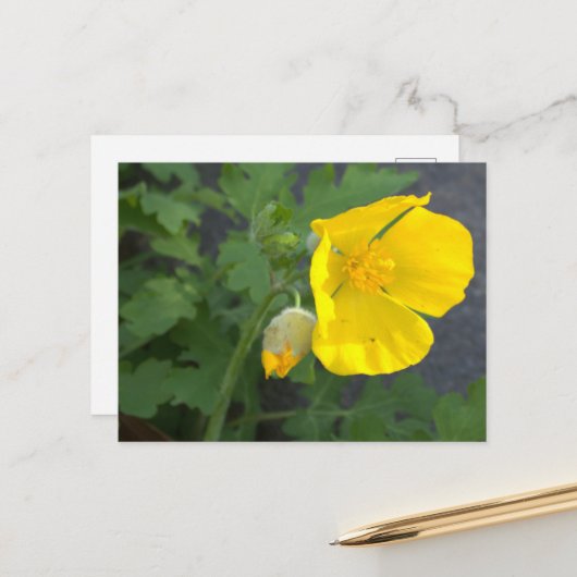 Carte postale Fleur Jaune (Devant/Arrière en situation)