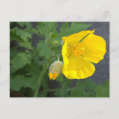 Carte postale Fleur Jaune (Devant)